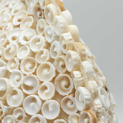 Cut Shell Table Lamp 30cm