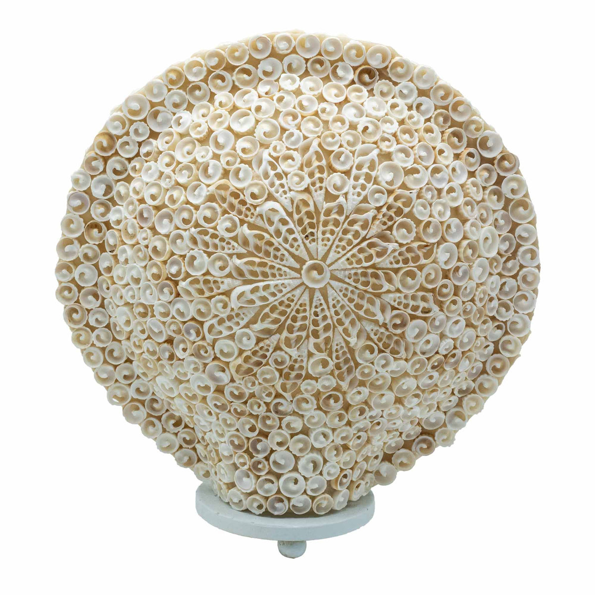 Cut Shell Table Lamp 30cm