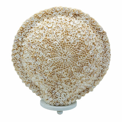 Cut Shell Table Lamp 30cm