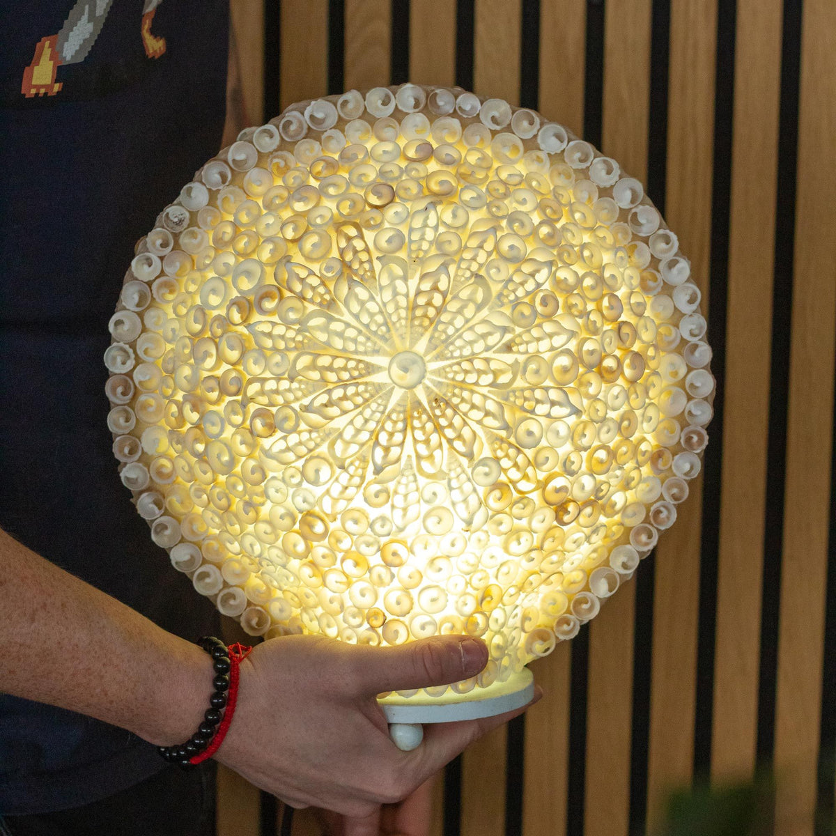 Cut Shell Table Lamp 30cm