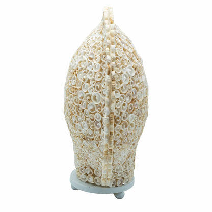 Cut Shell Table Lamp 30cm