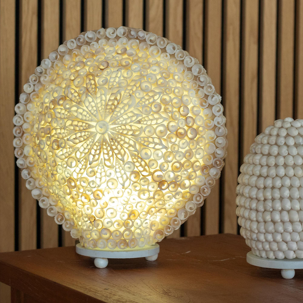 Cut Shell Table Lamp 30cm