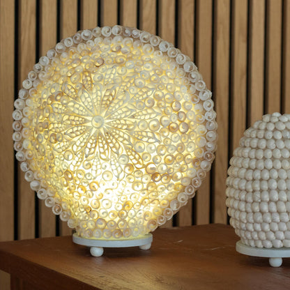 Cut Shell Table Lamp 30cm