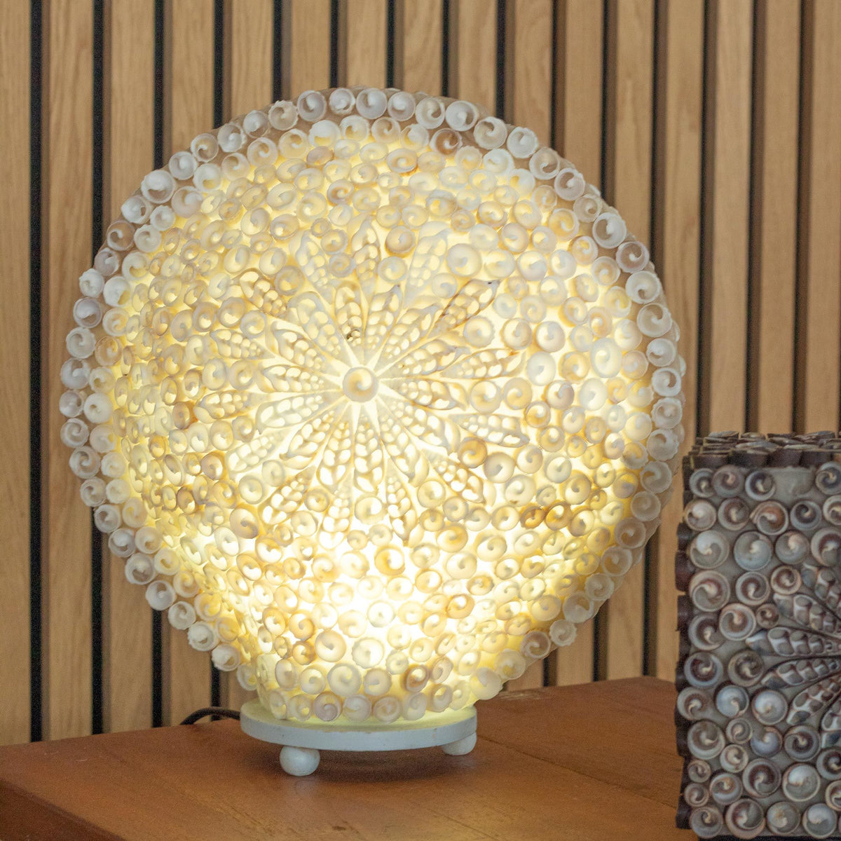 Cut Shell Table Lamp 30cm