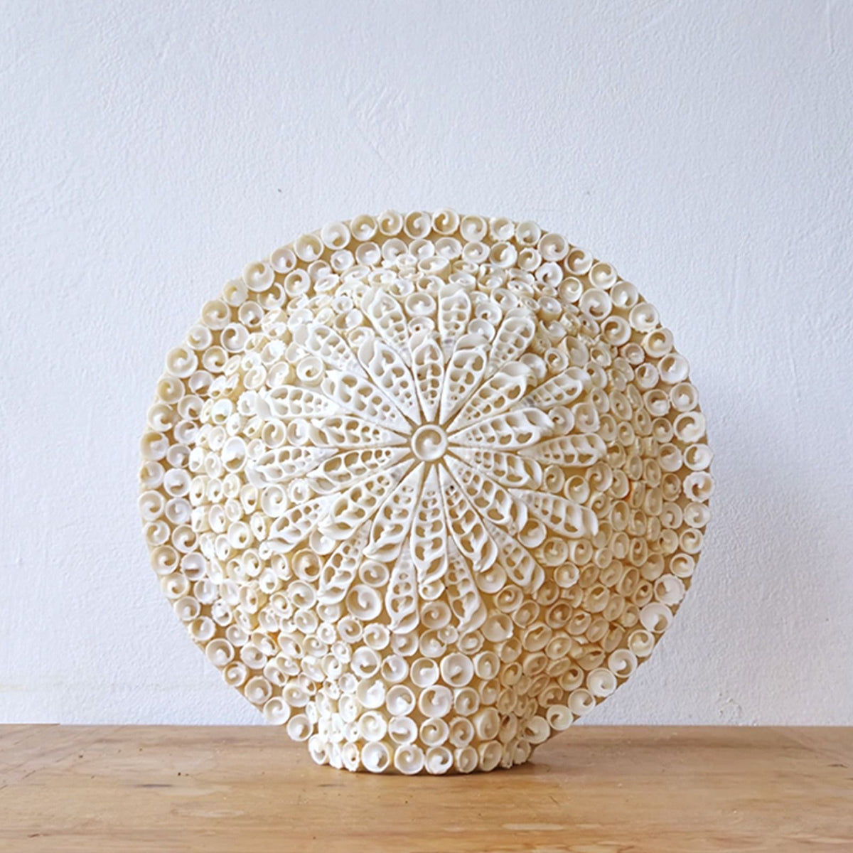 Cut Shell Table Lamp 30cm